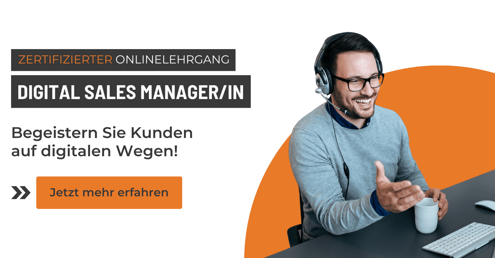 Preview Picture für den Onlinelehrgang Digital Sales Manager